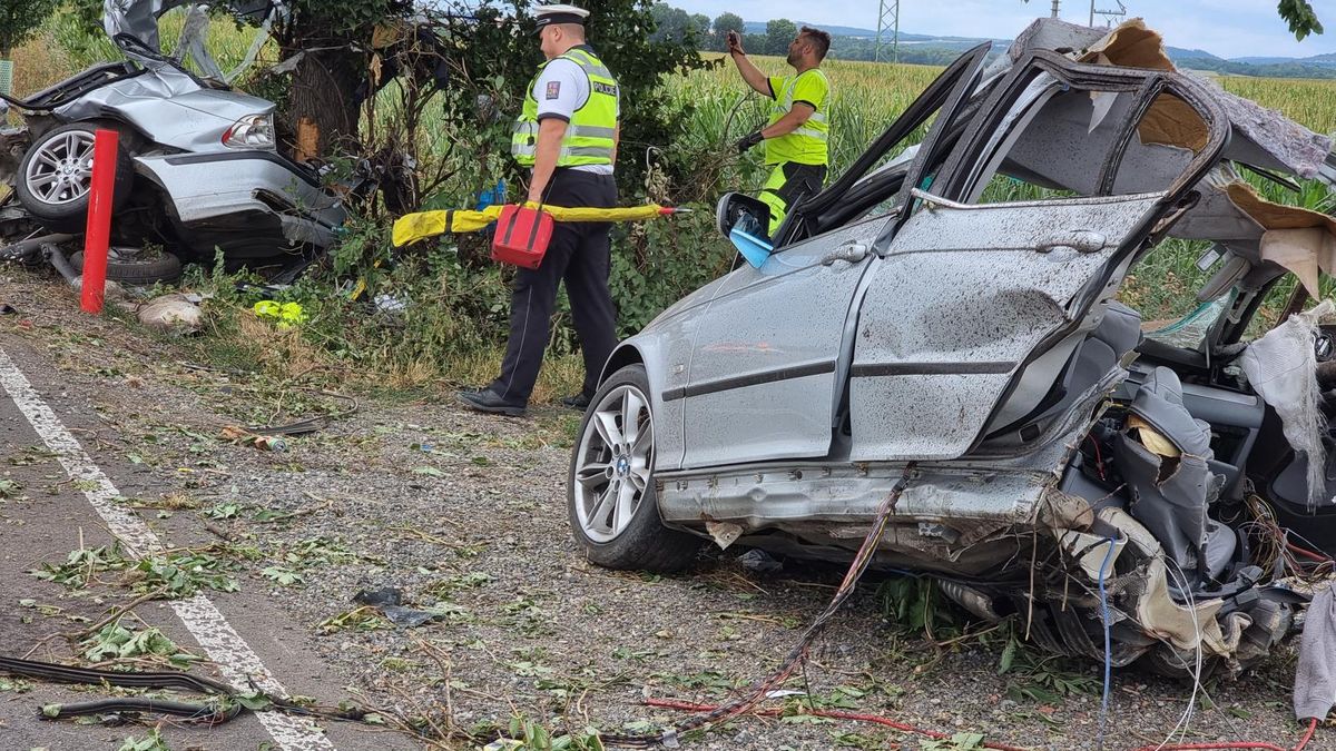 Mladík rozpůlil BMW o strom u Brna, oživování bylo marné